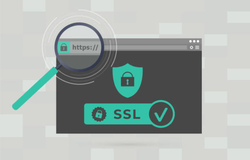 Website Security and SSL Certificates: The Cornerstones of User Trust and SEO Rankings